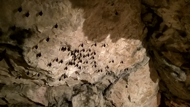 Jaskinia Wierzchowska Górna z dziećmi 